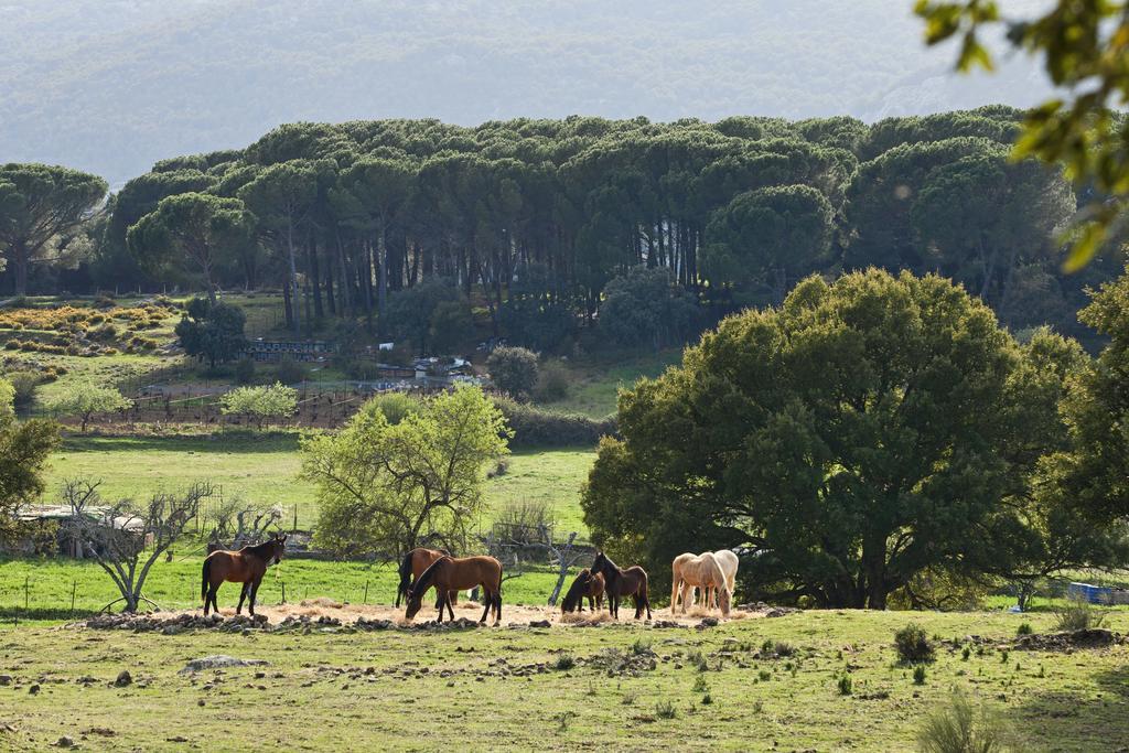 Tambor Del Llano Βίλα Grazalema Εξωτερικό φωτογραφία