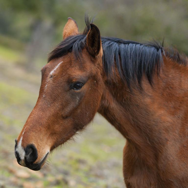 Tambor Del Llano Βίλα Grazalema Εξωτερικό φωτογραφία