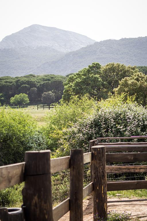 Tambor Del Llano Βίλα Grazalema Εξωτερικό φωτογραφία